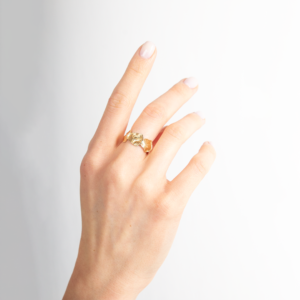 Ring Round Leaves Model